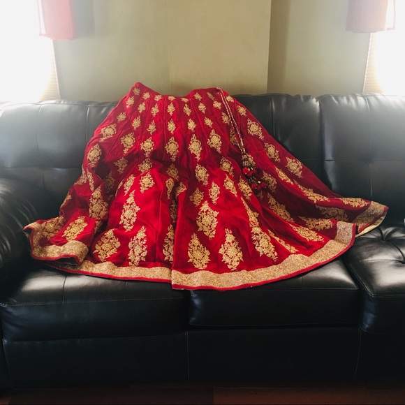 Beautiful Indian bridal lehanga with heavy designs - Picture 6 of 6